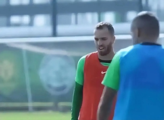 塞鸟1场未登场，揭秘背后的故事与期待