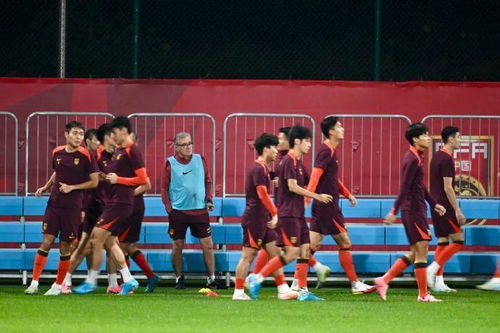 足球报深度解析,国足取胜关键在于拼搏与信心,塞鸟替补席概率或成悬念 足球报深度解析,国足取胜关键在于拼搏与信心,塞鸟替补席概率或成悬念